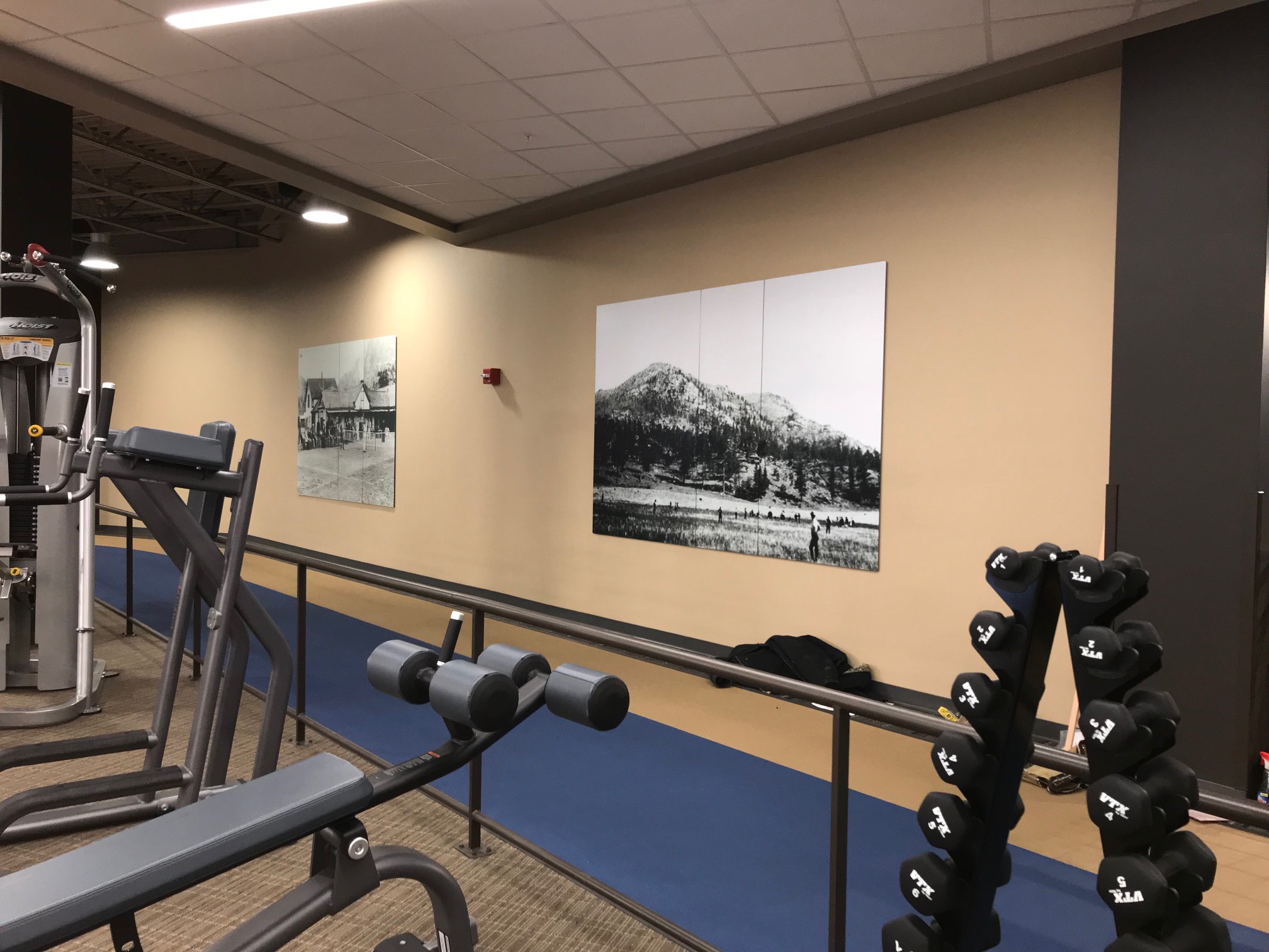 A gym interior featuring various exercise equipment including a treadmill, weight rack, and bench. The walls are adorned with framed black and white photographs of scenic landscapes. The floor has blue padding, and the ceiling has a grid pattern.