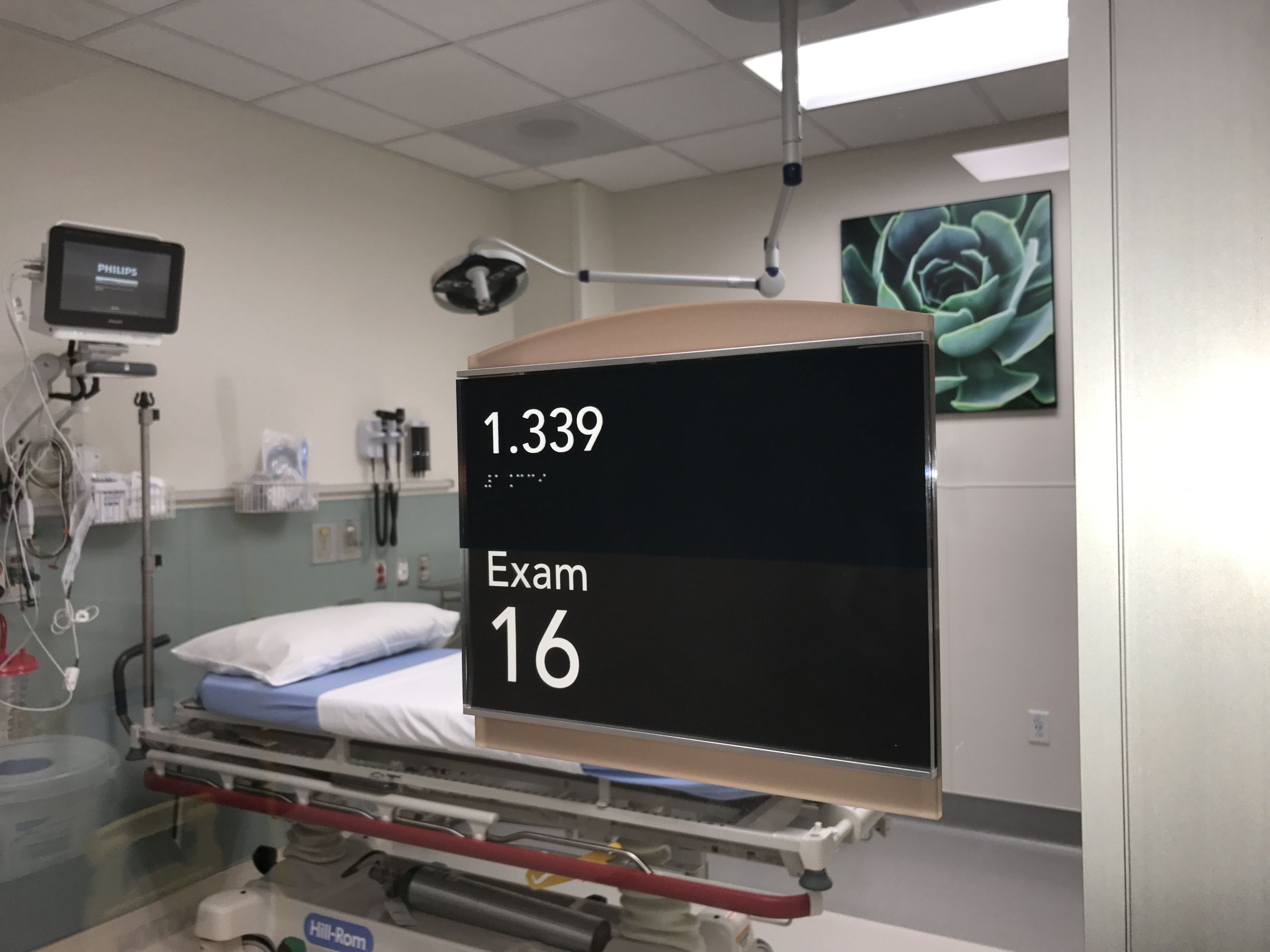 A hospital examination room is shown with a sign displaying "1.339 Exam 16." The room contains medical equipment, a bed with a blue sheet and pillow, a monitor, and some medical supplies on the wall. A framed picture of a succulent hangs on the back wall.