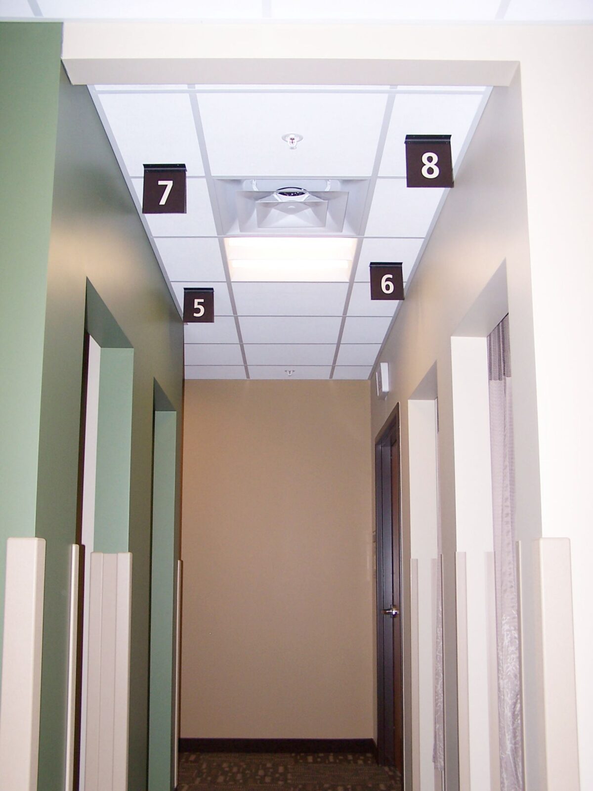 A hallway with light beige walls and green accents has doors labeled with numeric signs. The ceiling features white tiles, square lights, and a ventilation fan. The numeric signs above the doors are 5, 6, 7, and 8 from left to right.