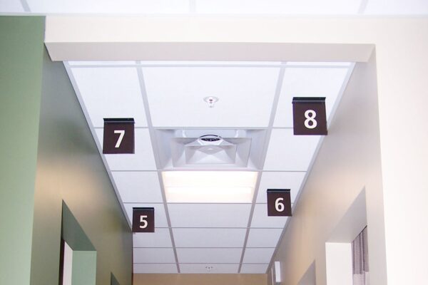 A hallway with light beige walls and green accents has doors labeled with numeric signs. The ceiling features white tiles, square lights, and a ventilation fan. The numeric signs above the doors are 5, 6, 7, and 8 from left to right.